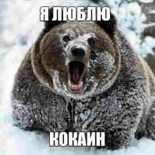 😋 Стикер «АХАХАХАХА хуета» для Telegram
