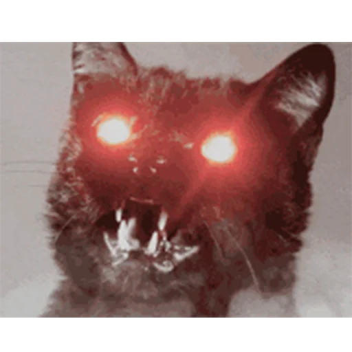 👹 Стикер «hallucat» для Telegram