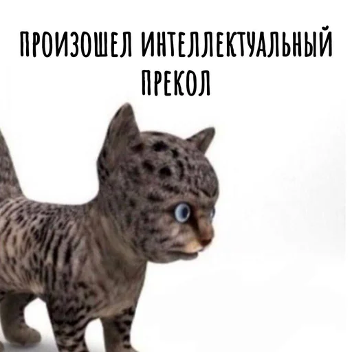 🐱 Стикер «Хамим Красиво» для Telegram