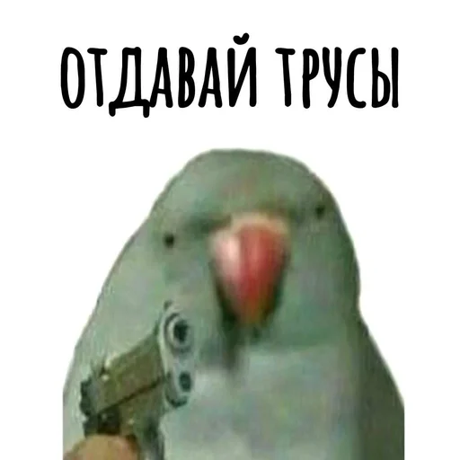 🔫 Стикер «Хамим Красиво» для Telegram