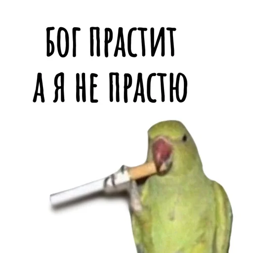 🦜 Стикер «Хамим Красиво» для Telegram