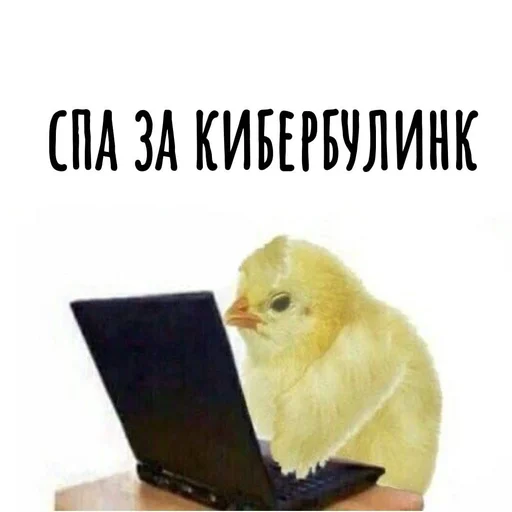Стикерпак Хамим Красиво для Telegram