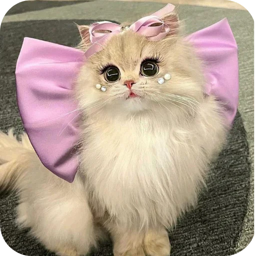 🎀 Стикер «Диёраники чопма» для Telegram