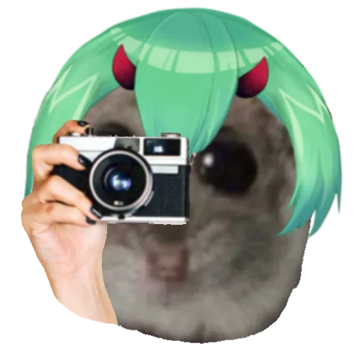 📷 Стикер «hamoonster» для Telegram