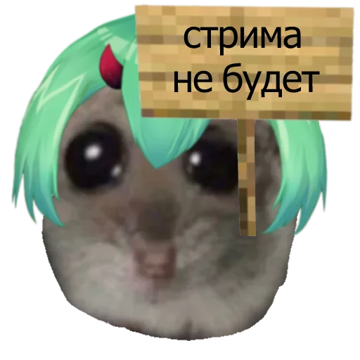 💀 Стикер «hamoonster» для Telegram