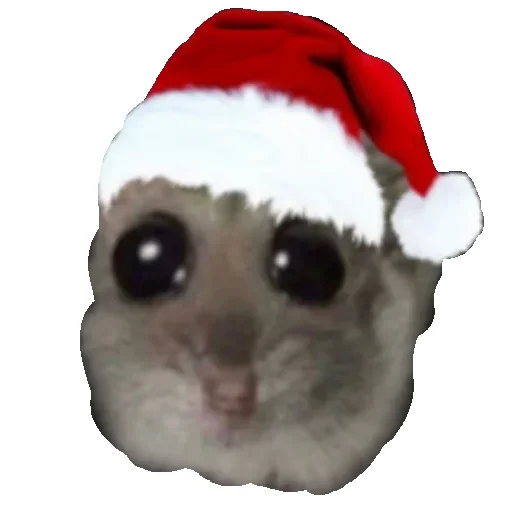 🎉 Стикер «Hamster» для Telegram