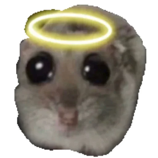 😇 Стикер «Hamster» для Telegram