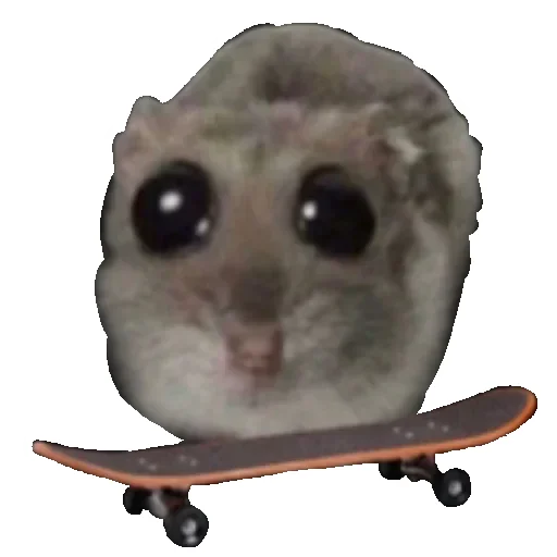 🛹 Стикер «Hamster» для Telegram