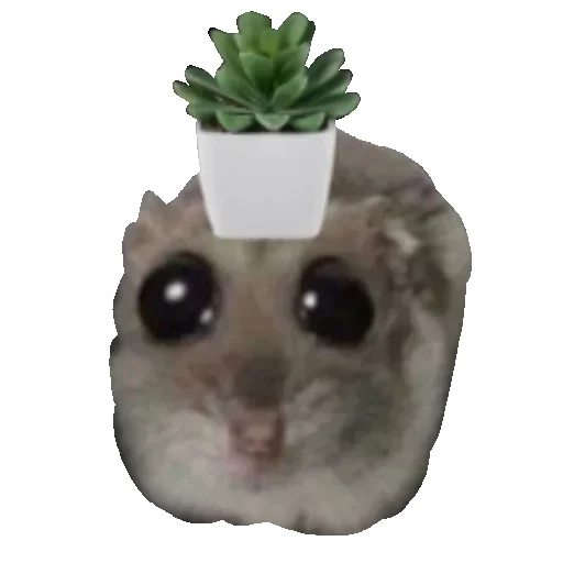 🌻 Стикер «Hamster» для Telegram