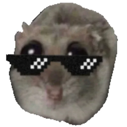 😎 Стикер «Hamster» для Telegram