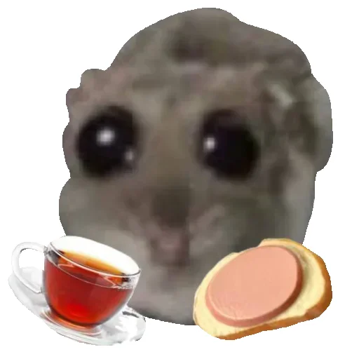 🍵 Стикер «Hamster» для Telegram