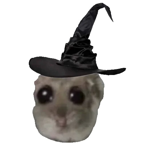 👒 Стикер «Hamster» для Telegram
