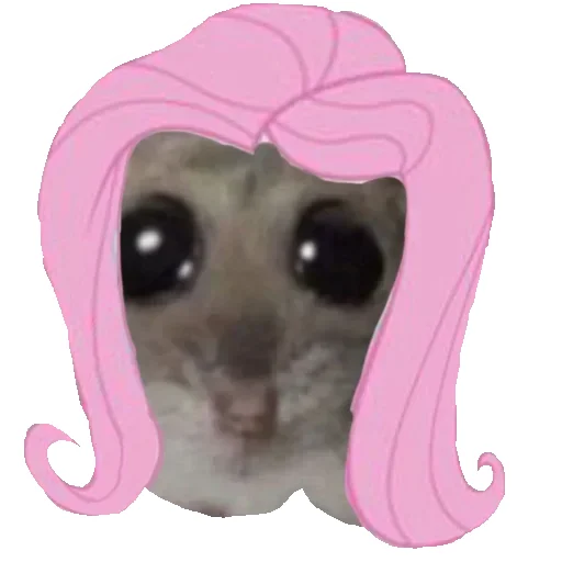 💅 Стикер «Hamster» для Telegram