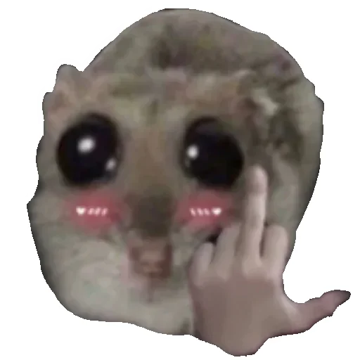 🖕 Стикер «Hamster» для Telegram