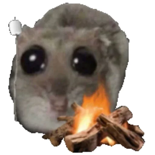 🏕 Стикер «Hamster» для Telegram