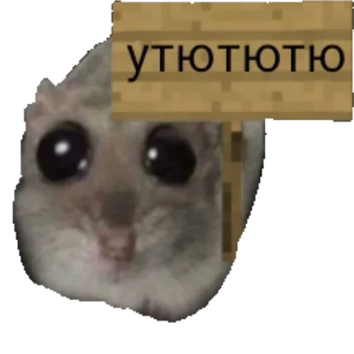 🪧 Стикер «Hamster» для Telegram