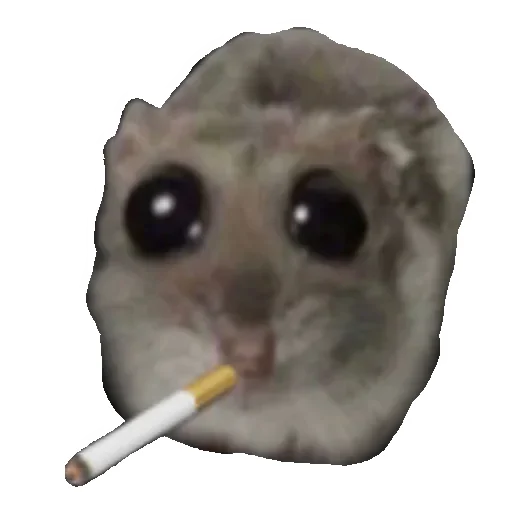 Стикерпак Hamster для Telegram