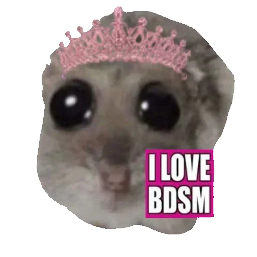😉 Стикер «Hamster» для Telegram
