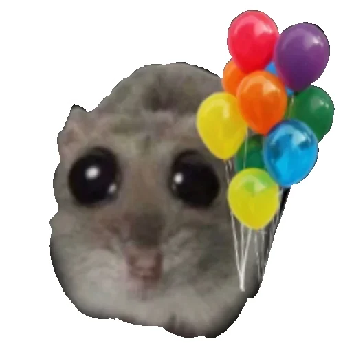 🎈 Стикер «Hamster» для Telegram
