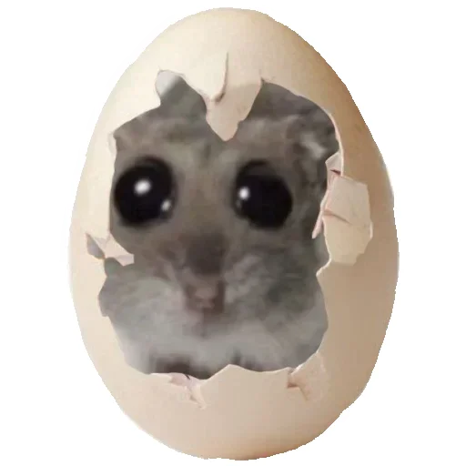 🥚 Стикер «Hamster» для Telegram