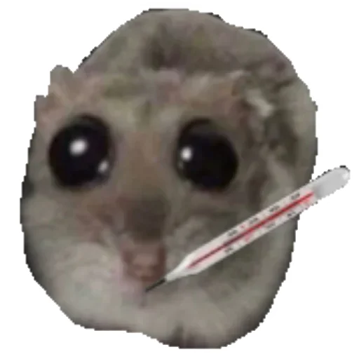 🌡 Стикер «Hamster» для Telegram
