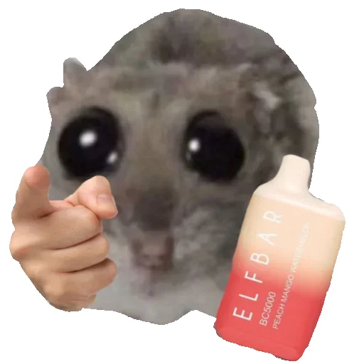 💨 Стикер «Hamster» для Telegram