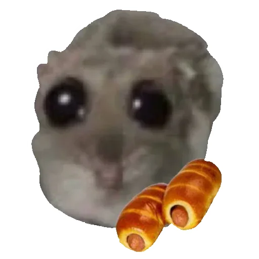 🌮 Стикер «Hamster» для Telegram