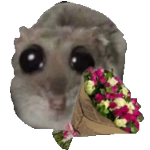 🥀 Стикер «Hamster» для Telegram