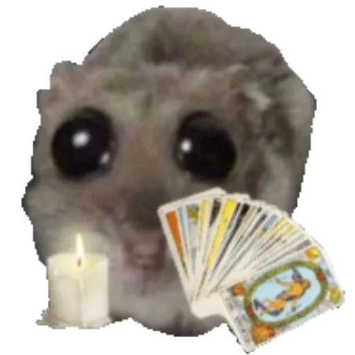 🔮 Стикер «Hamster» для Telegram