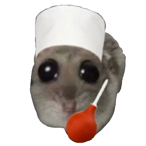 👩‍⚕️ Стикер «Hamster» для Telegram