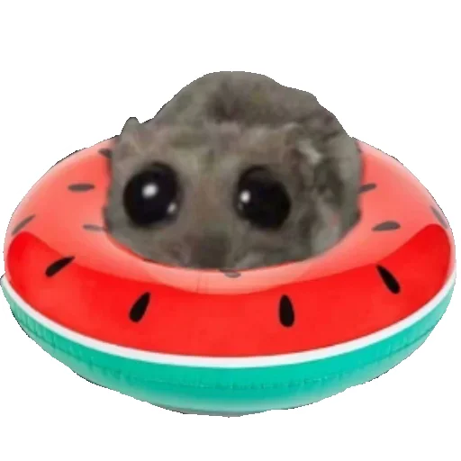 🐹 Стикер «Hamster» для Telegram