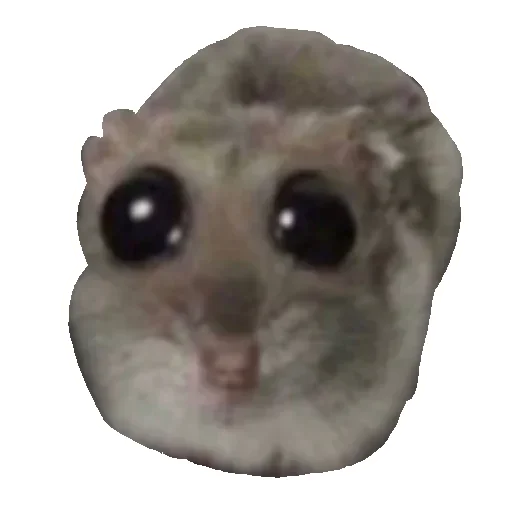 🐹 Стикер «Hamster» для Telegram