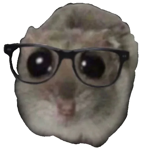 🤓 Стикер «Hamster» для Telegram