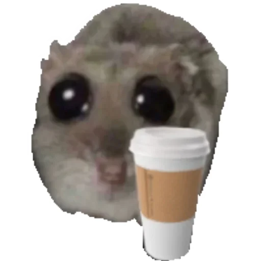 ☕️ Стикер «Hamster» для Telegram