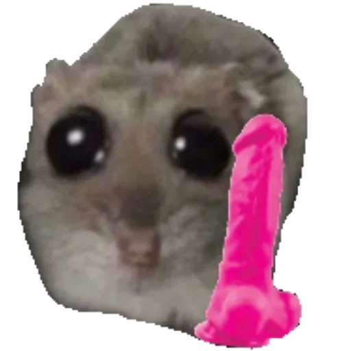 😉 Стикер «Hamster» для Telegram