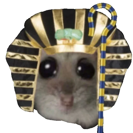 🐹 Стикер «Hamster» для Telegram