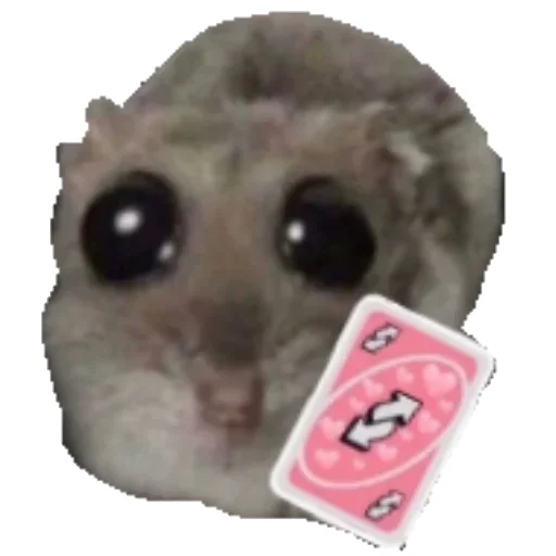 🃏 Стикер «Hamster» для Telegram