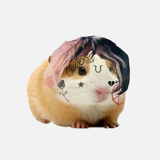 🐹 Стикер «ХоМяЧиЙ дВиЖ» для Telegram