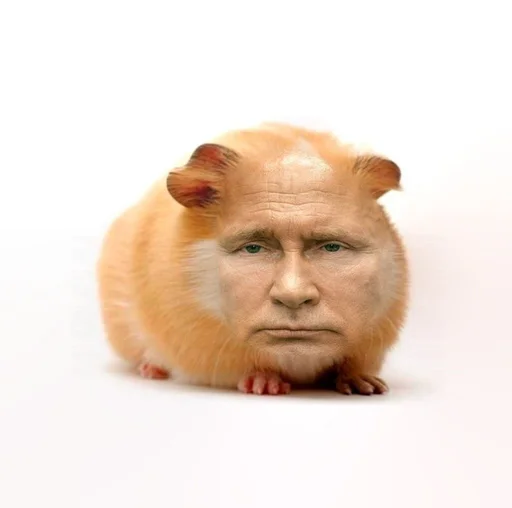 🐹 Стикер «ХоМяЧиЙ дВиЖ» для Telegram