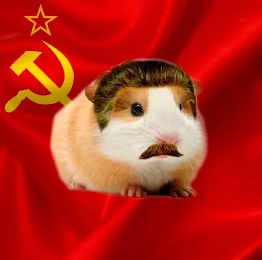 🐹 Стикер «ХоМяЧиЙ дВиЖ» для Telegram
