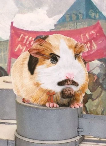 🐹 Стикер «ХоМяЧиЙ дВиЖ» для Telegram