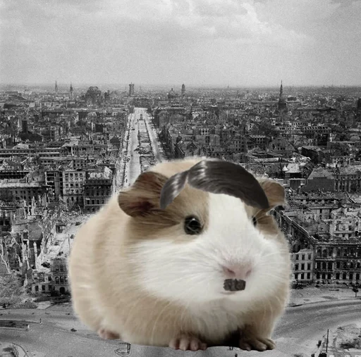 🐹 Стикер «ХоМяЧиЙ дВиЖ» для Telegram