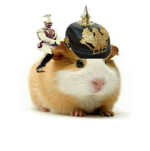 🐹 Стикер «ХоМяЧиЙ дВиЖ» для Telegram