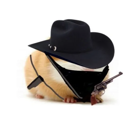 🐹 Стикер «ХоМяЧиЙ дВиЖ» для Telegram