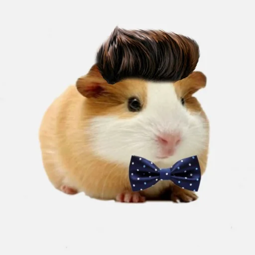 🐹 Стикер «ХоМяЧиЙ дВиЖ» для Telegram