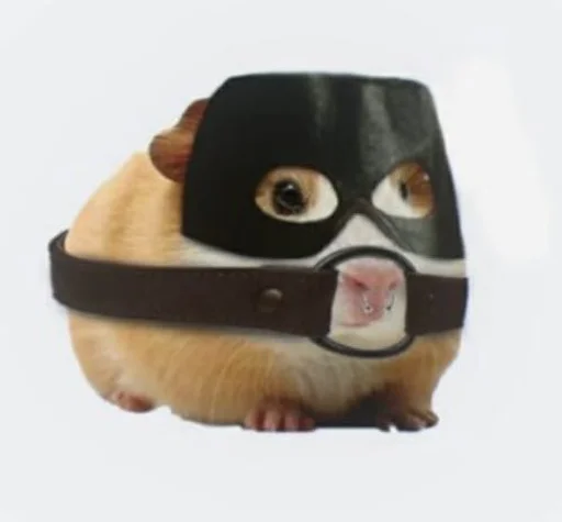 🐹 Стикер «ХоМяЧиЙ дВиЖ» для Telegram
