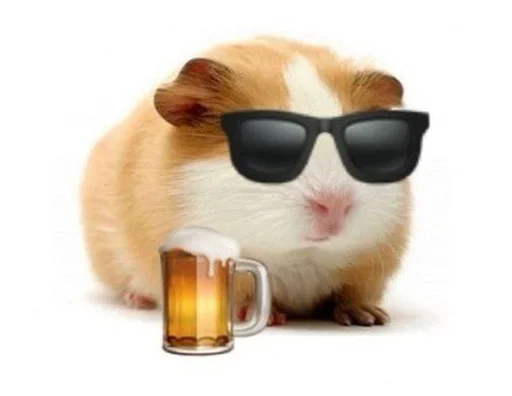 🐹 Стикер «ХоМяЧиЙ дВиЖ» для Telegram