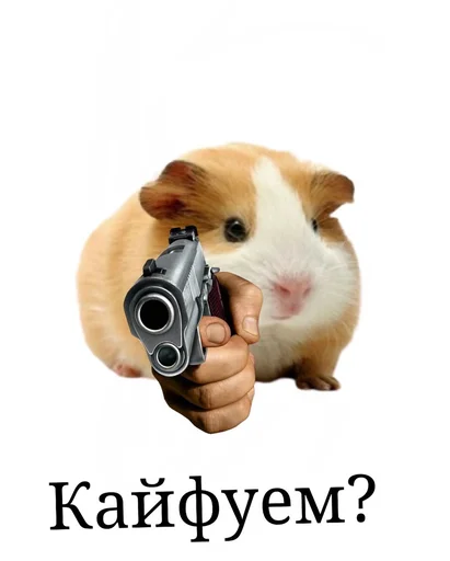 🐹 Стикер «ХоМяЧиЙ дВиЖ» для Telegram