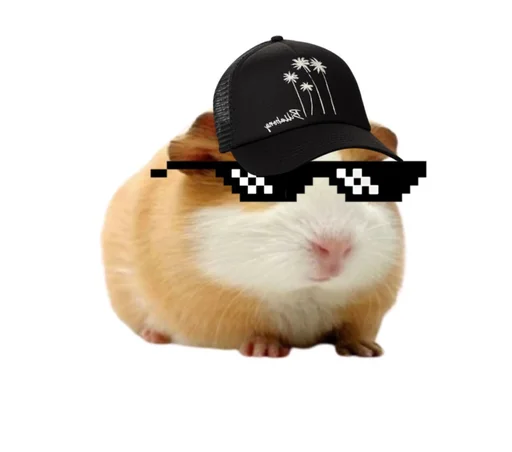 🐹 Стикер «ХоМяЧиЙ дВиЖ» для Telegram