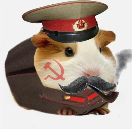 🐹 Стикер «ХоМяЧиЙ дВиЖ» для Telegram